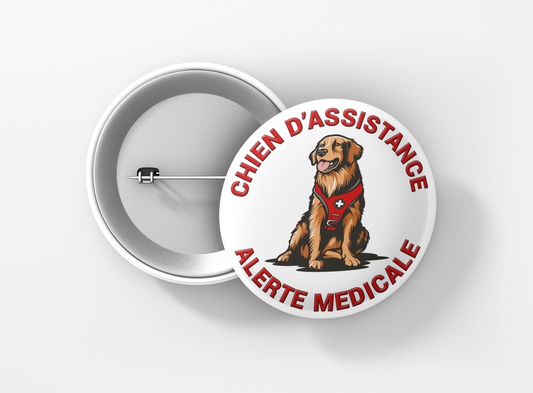 CHIEN (PLUSIEURS VISUELS)