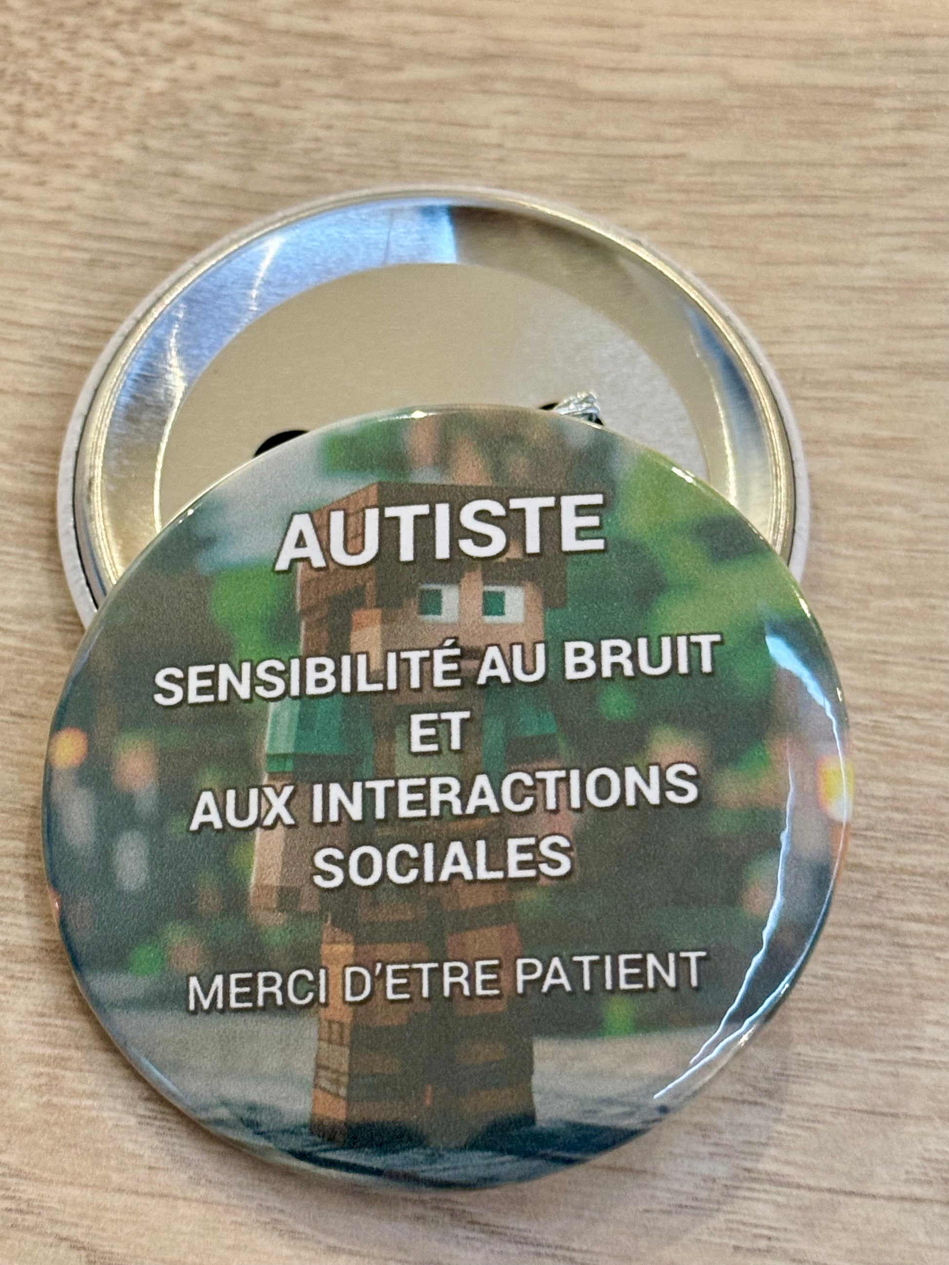 Autiste sensibilité au bruit. Visuel Minecraft