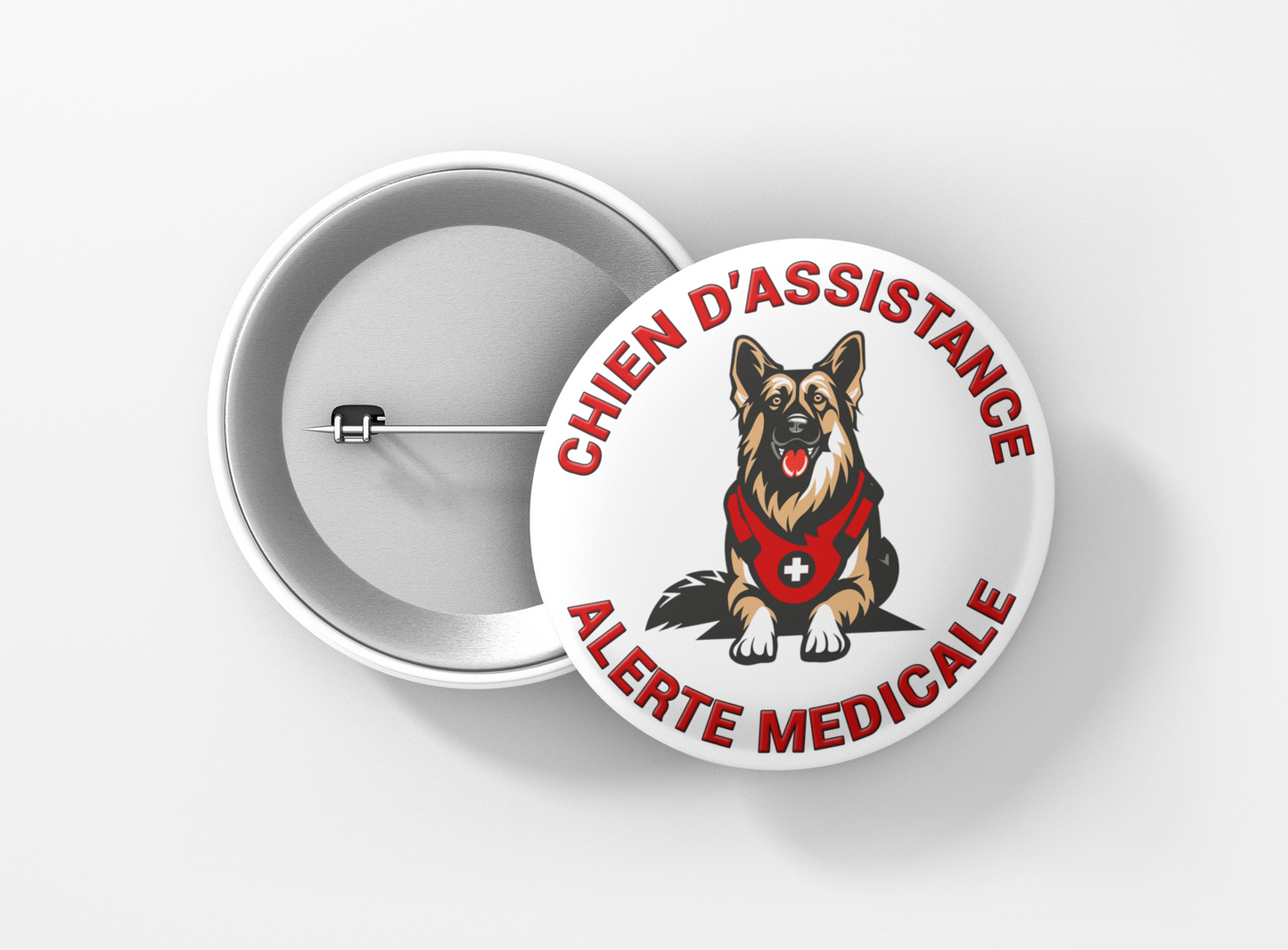 CHIEN (PLUSIEURS VISUELS)