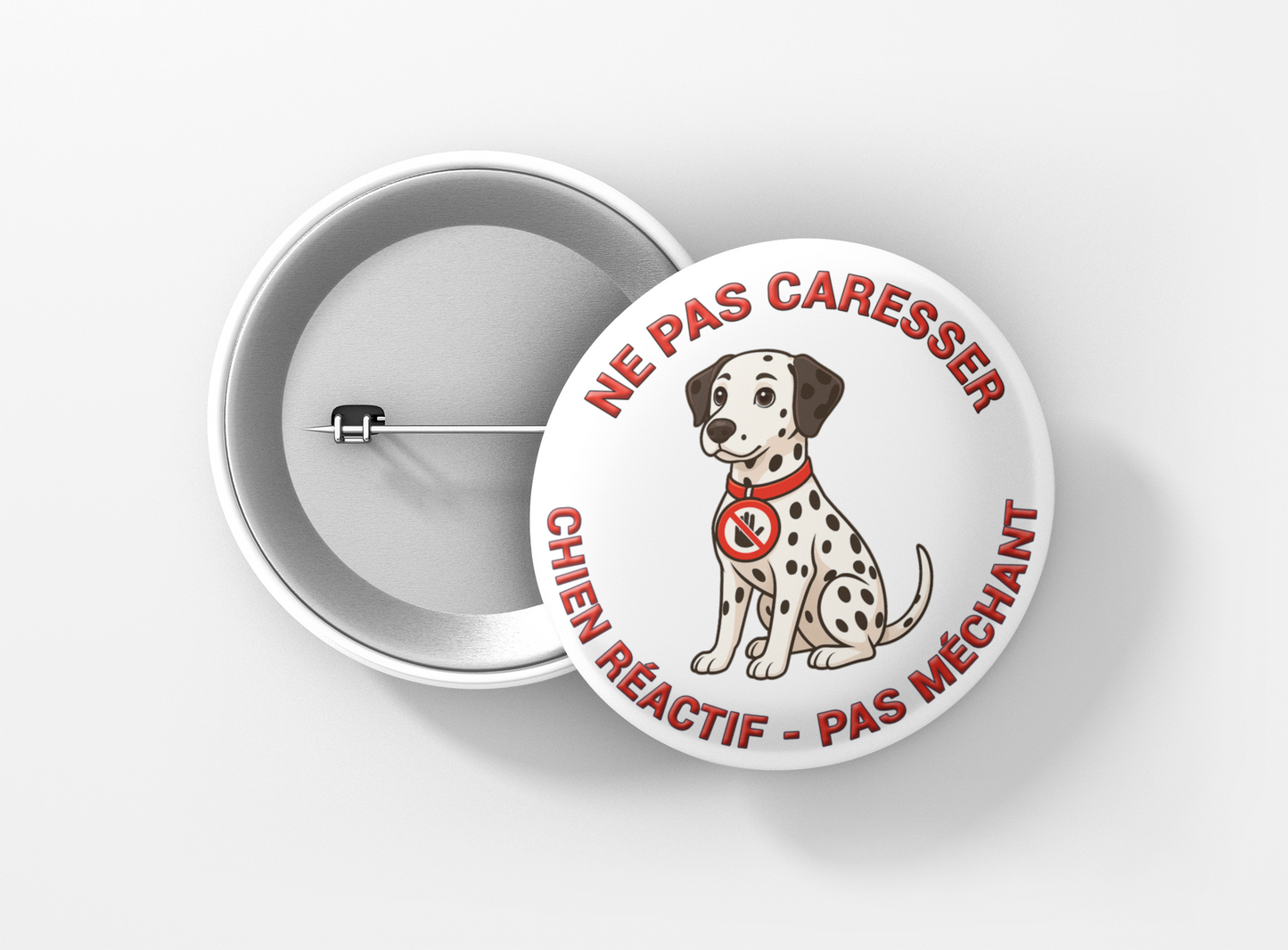 CHIEN (PLUSIEURS VISUELS)